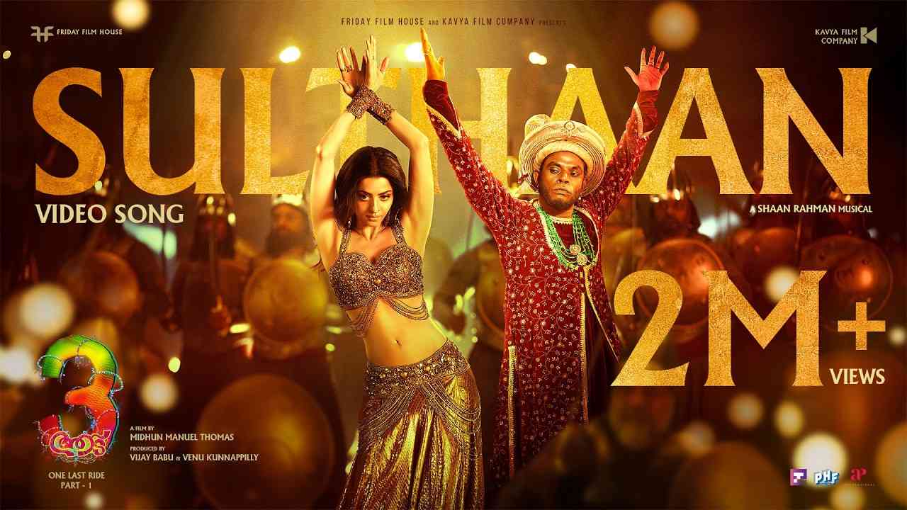 Sulthaan Lyrics English Translation - Anila Rajeev